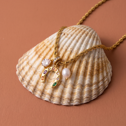 Fortune Charm Necklace