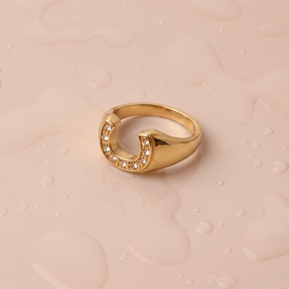 Horseshoe Signet Ring