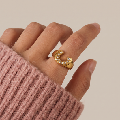Horseshoe Signet Ring
